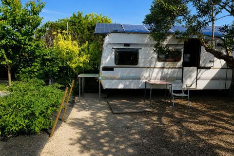 Terra a Beniganim, Valencia, Beniganim - € 49.000 | Ref: PNPT305 - foto 13